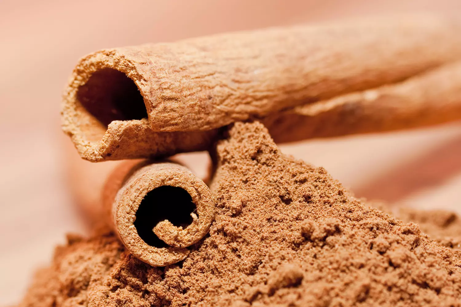 Cannelle en poudre - 1 kg